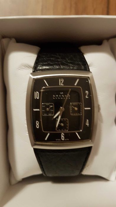 Ceas Hugo Boss      Skagen