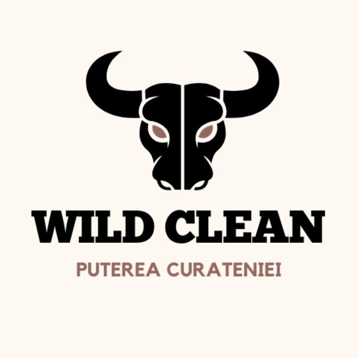 Wild Clean ofera servicii de curatare canapele,scaune,saltele,covoare