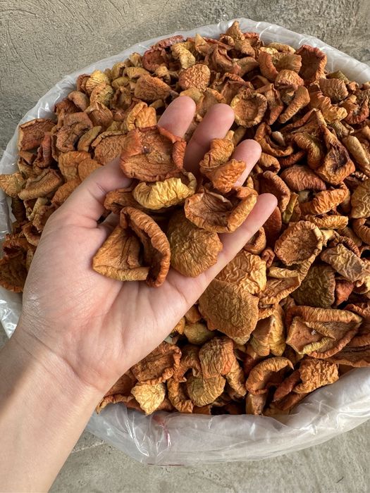 Яблоко сушенное olma quritilgan apple dried qoqi