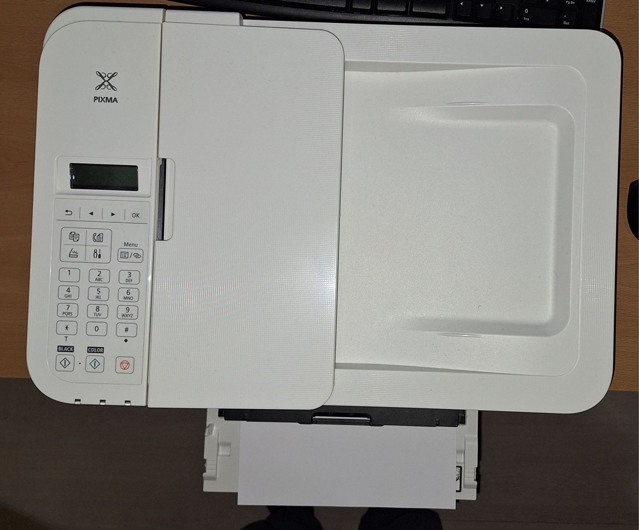 Printer CANON TR4551