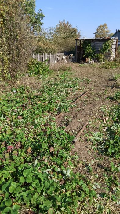 Продам дачу ООСЛ притобольский