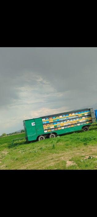 Павильён на 150 семей обмен