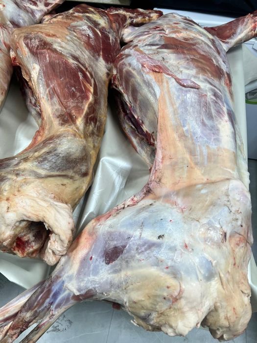 Продам мясо баранину недорого