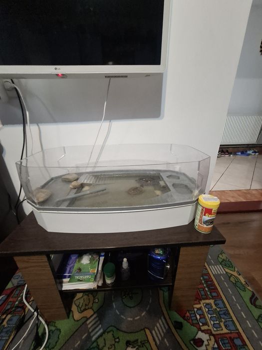 Acvariu acvariu habitat
