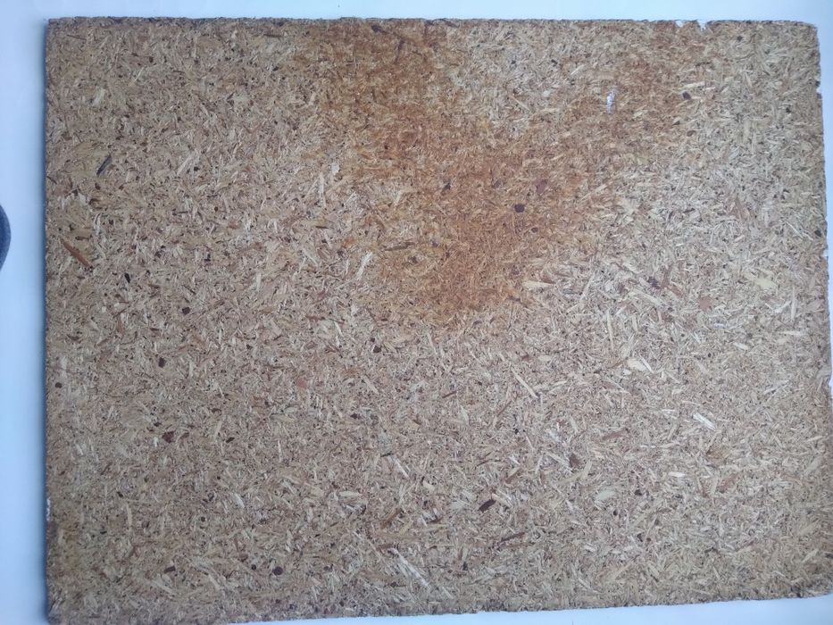 Pictura ulei pe placaj 0,5 cm