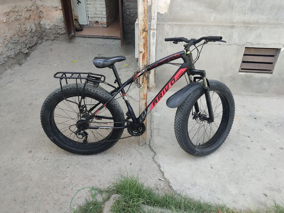 Baloni kotta valasepet narxi kelshamiz