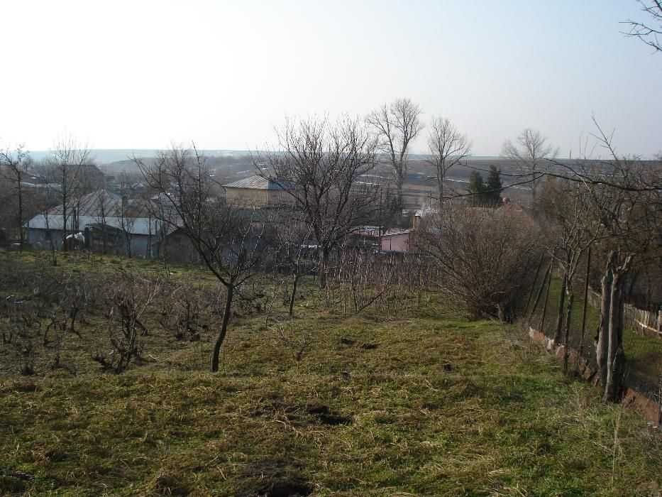 Teren intravilan Calmatuiu Teleorman