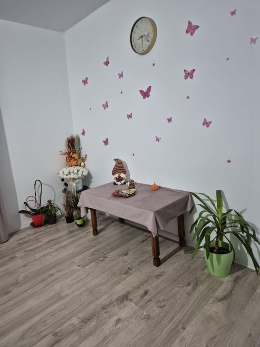 Inchiriez Apartament Tg Ocna