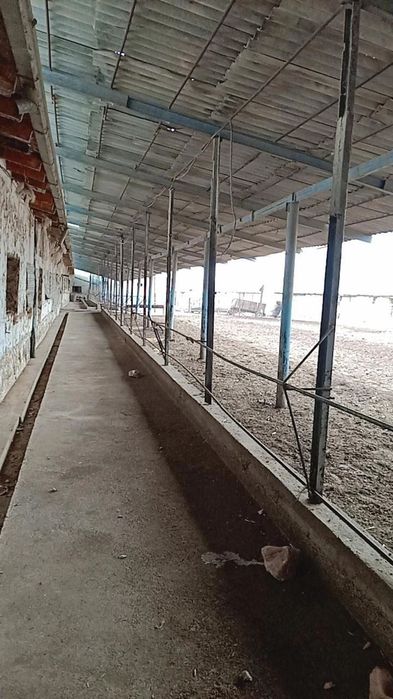 Ferma (toliq malumotni telda gaplashilinadi)