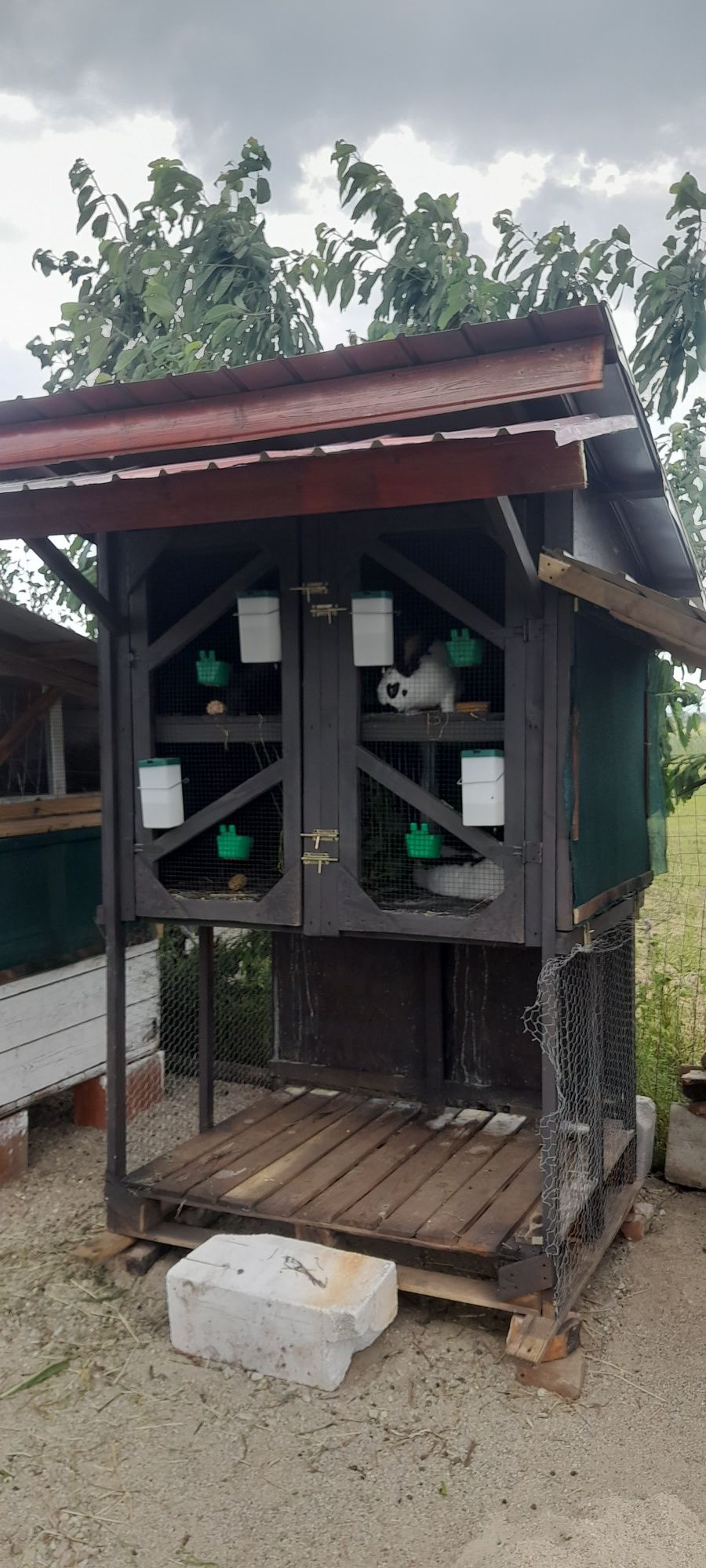 Vând cușcă iepuri