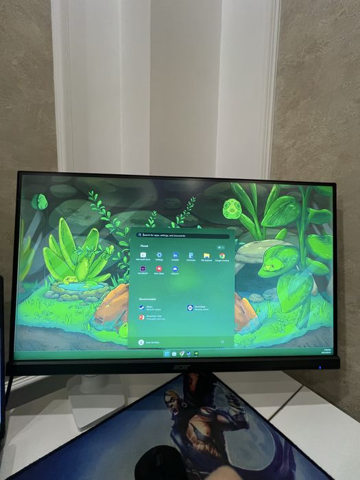 ACER XF250Q 240гц