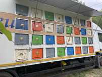 Camion apicol 12 tone cu lift