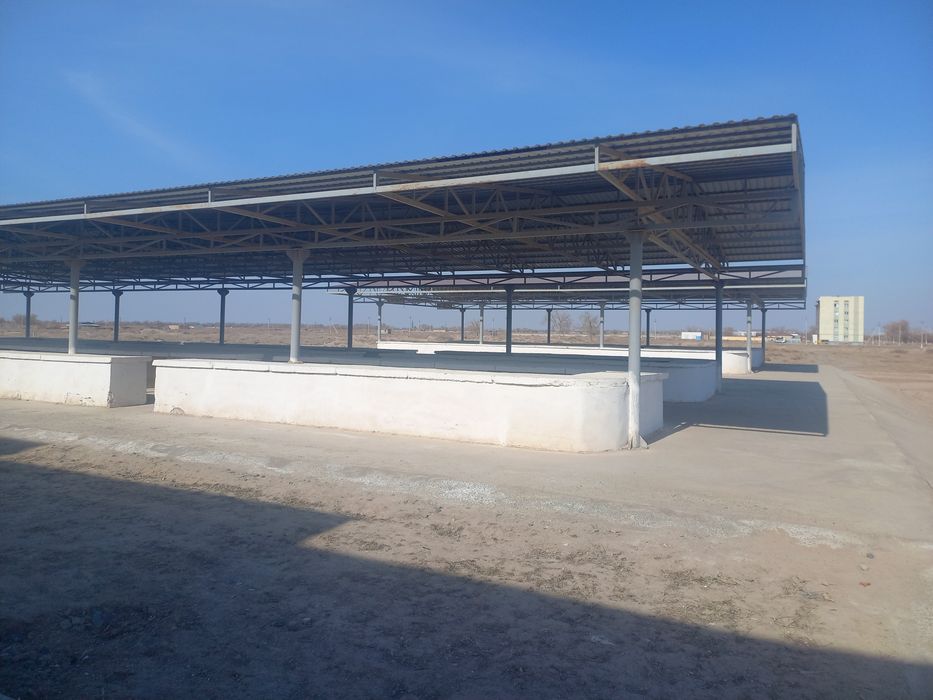 Банк балансидаги  Савдо комплекси (бозор) фоизсиз булиб тулашга сотила