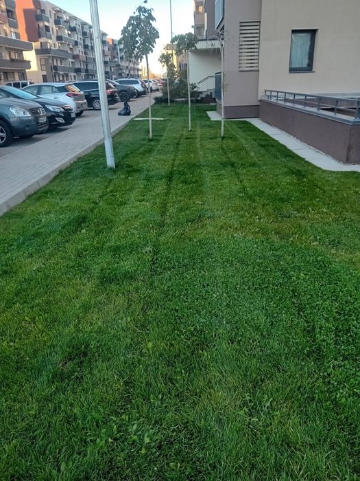 Servicii defrisare vegetatie, intretinere gradini si deszapezire