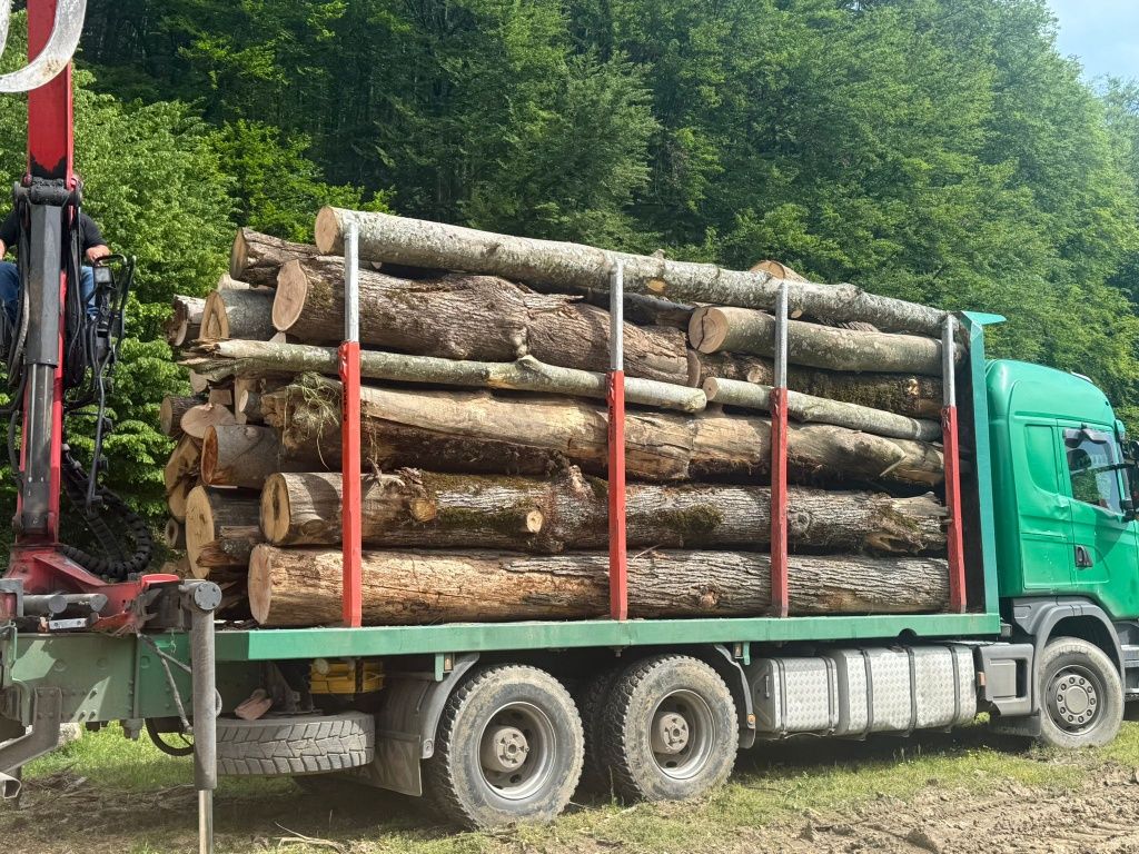 Vând lemn de foc esență tare verde și uscat  posibilitate de transport