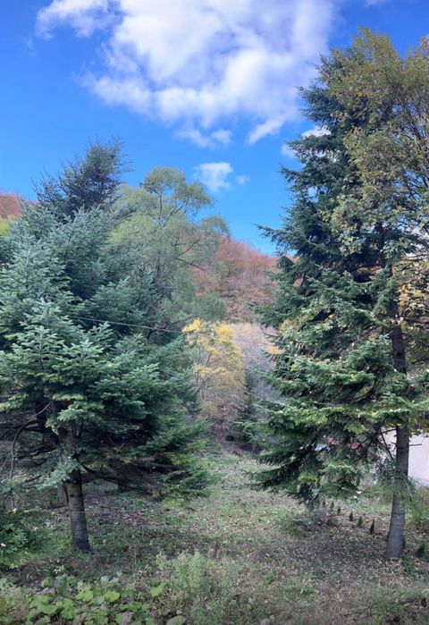 Vand teren Predeal cu deschidere catre DN