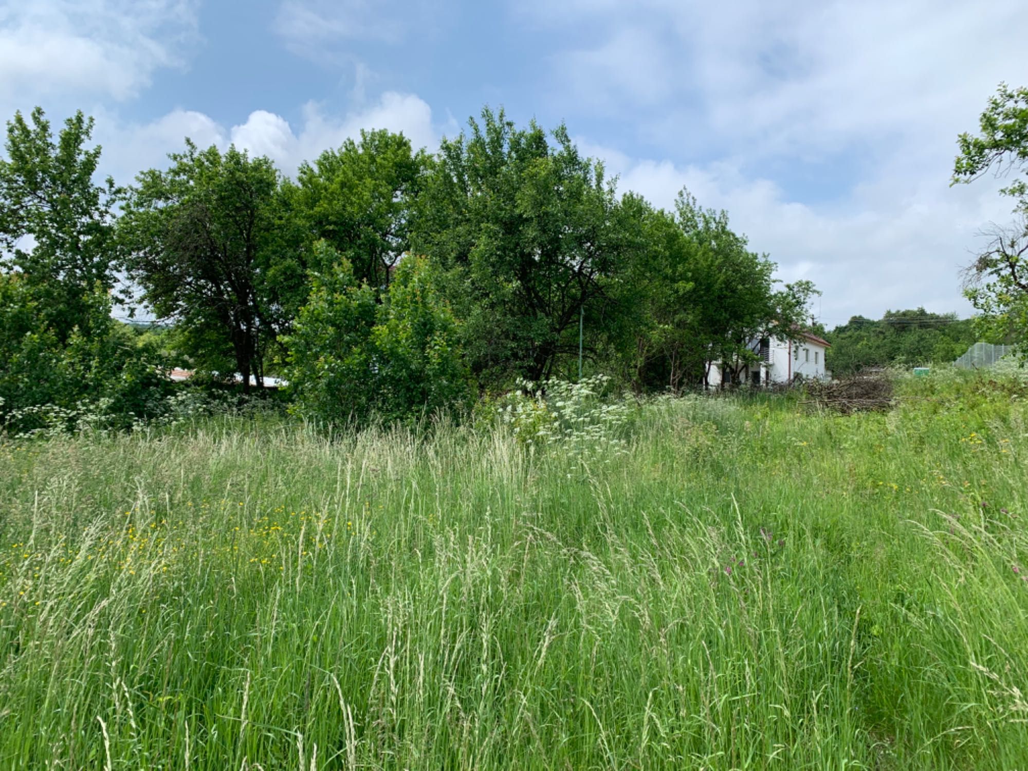 Vand teren de casa 800m2 cu utilitati, 8' de la iesire din oras