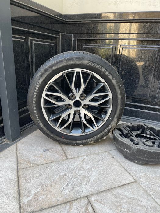 Continental shina 17 lik