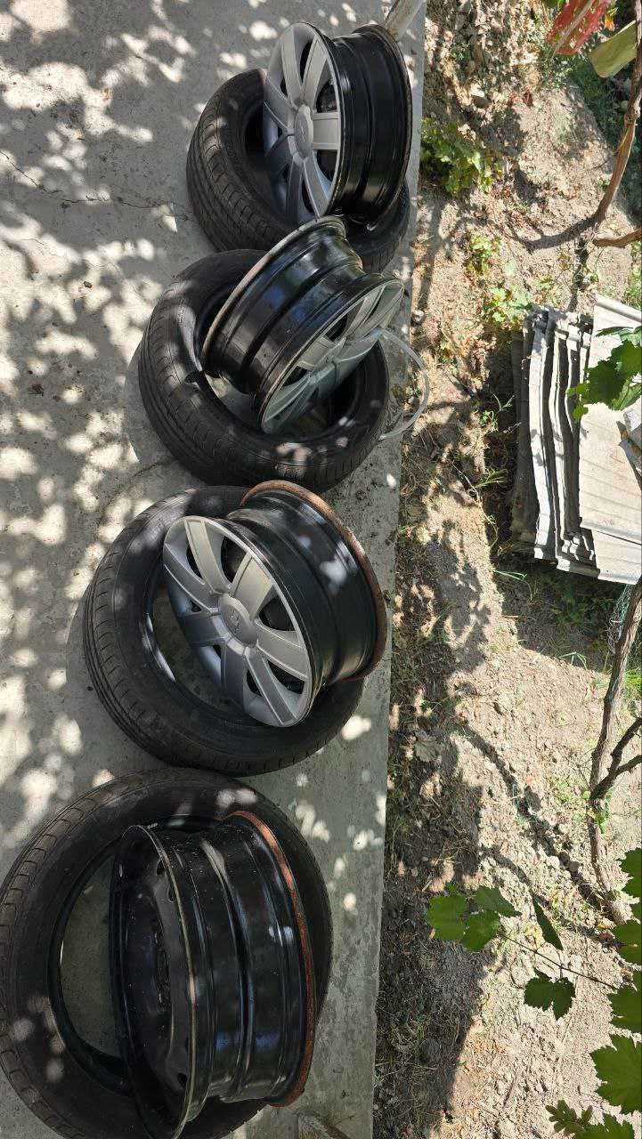 Жентра родной диска балони