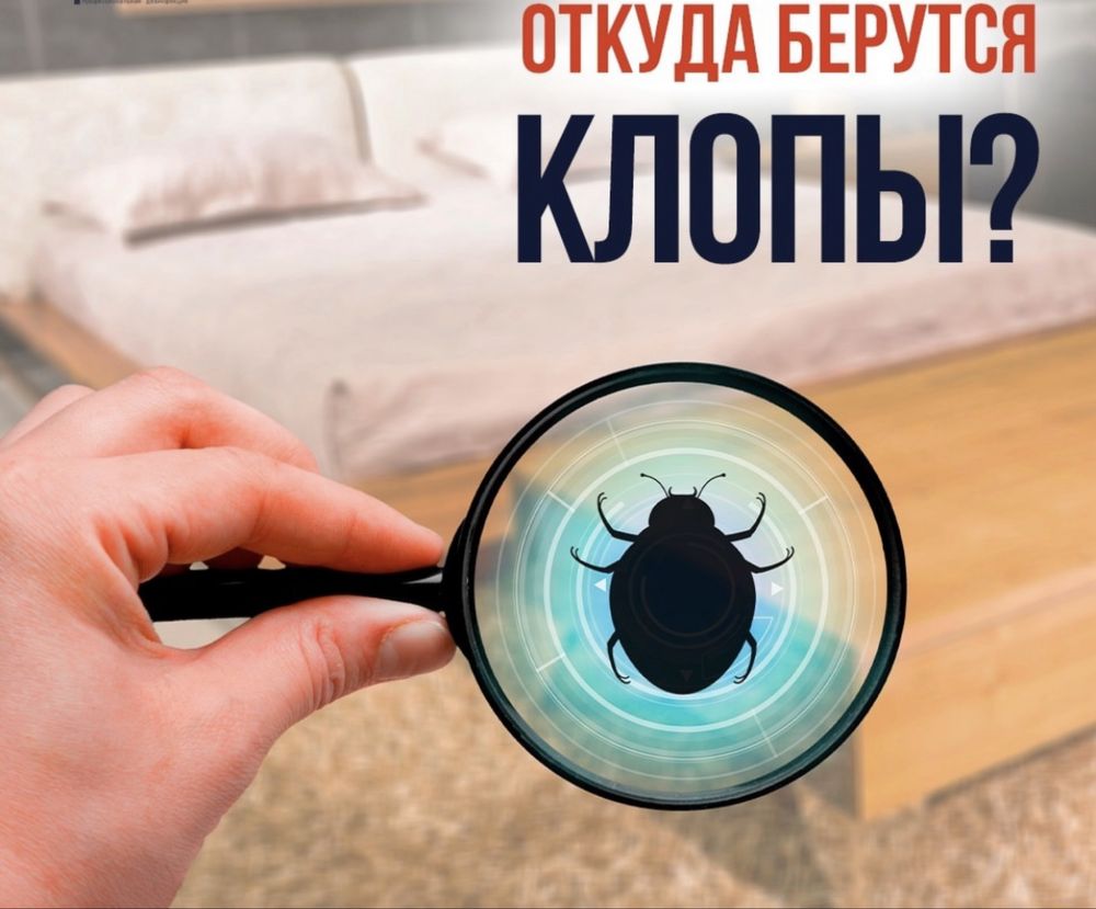 Dezinfeksiya Xizmati 100% Дезинфекция