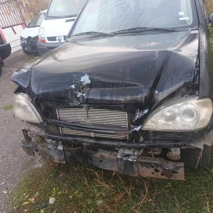 ML 270 W163 Na 4asti