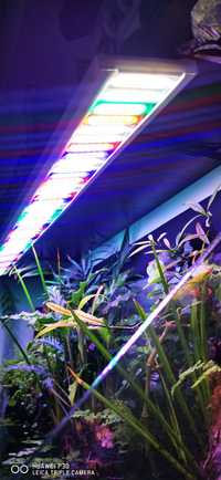 Lampi full spectrum pe comanda pentru acvarii plantate