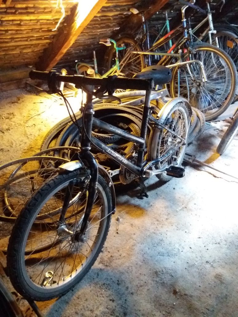 Alpina Bicicleta de copii elvetiana ci roti pe 20"