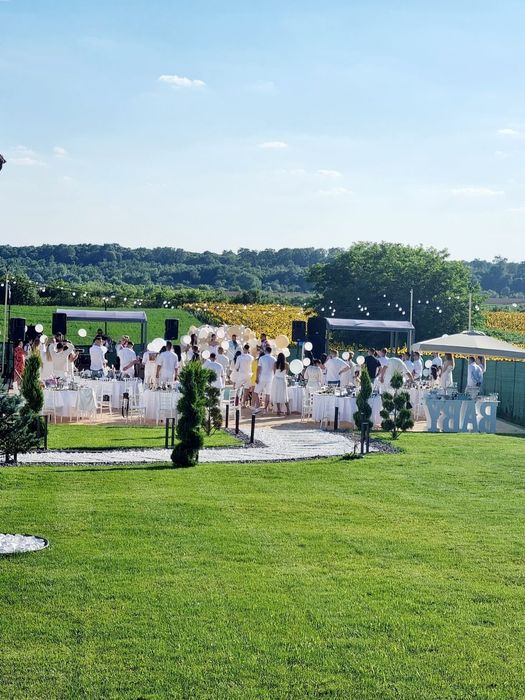 Vila petrecere petreceri, aniversari, onomastice, majorate, cununii