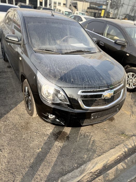 Cobolt midnight qora krasska tozza