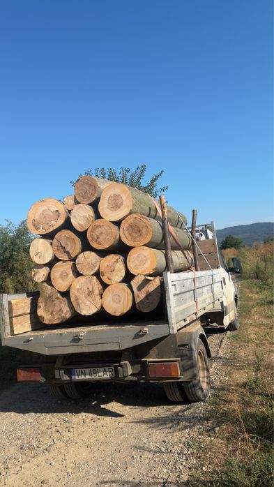 Lemn de fag, esență tare