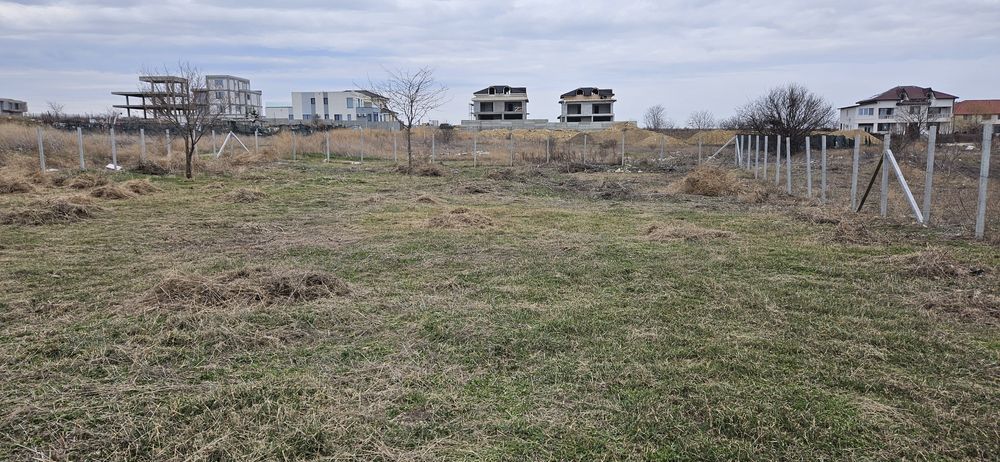 Curatare-cosire spatii verzi transport resturi vegetale