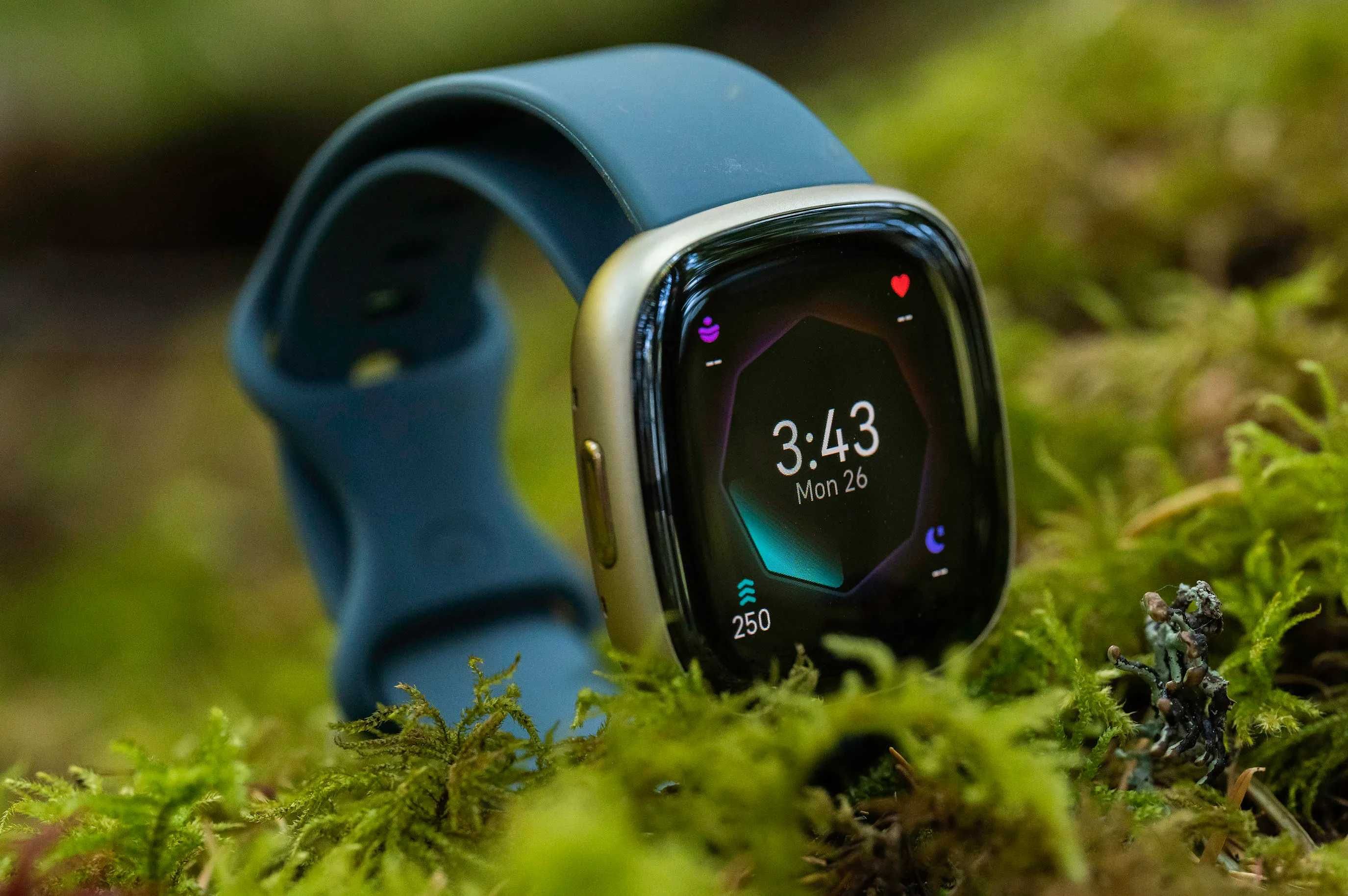 Fitbit Sense с GPS ЭКГ сердца Спикерфон звонка датчики сна и стресса