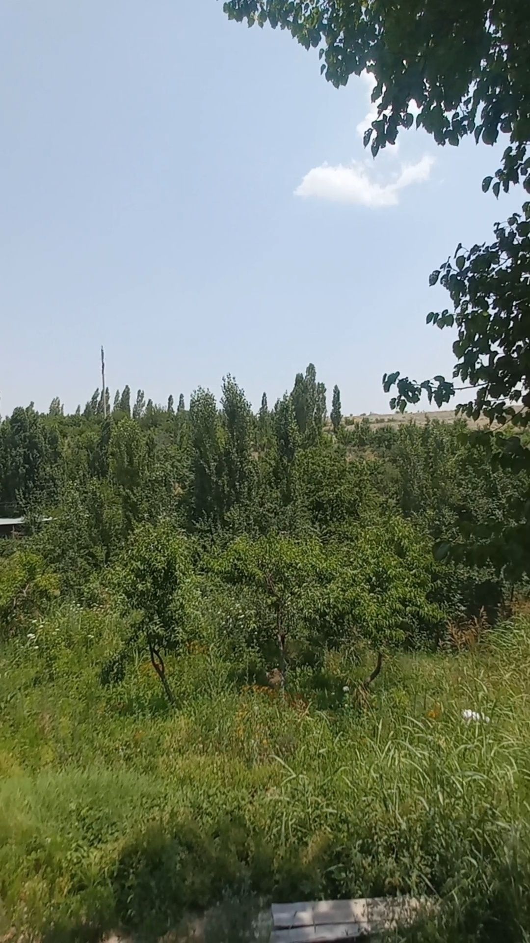 Дала ҳовли сотилади