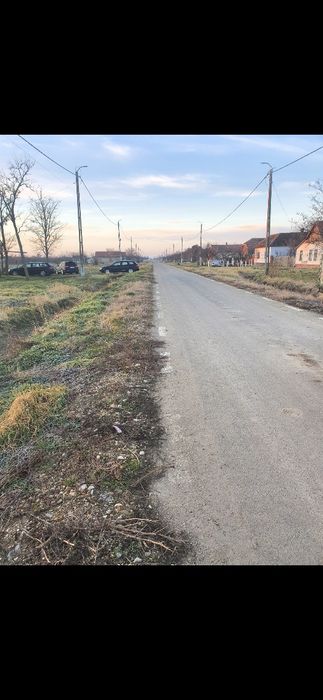 Vând teren intravilan 1.100 mp în Cenad județul Timiș 8 € / mp