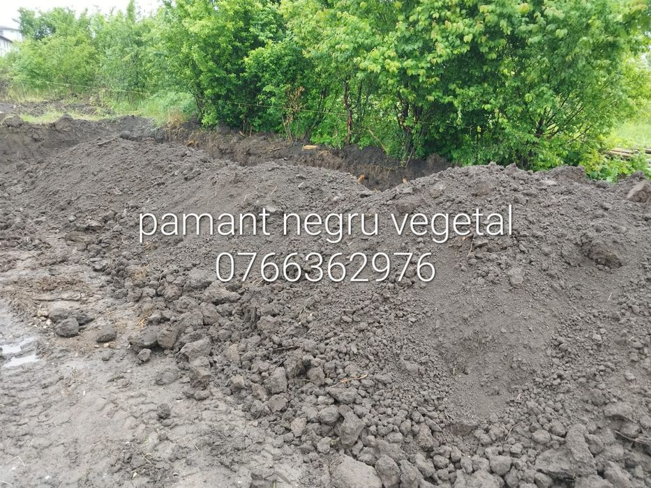 Concasata munte pamant vegetal balegar putred
