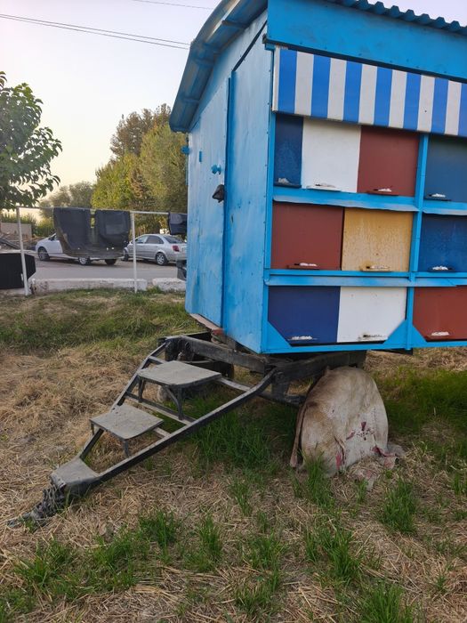 Asalari vagon sotiladi