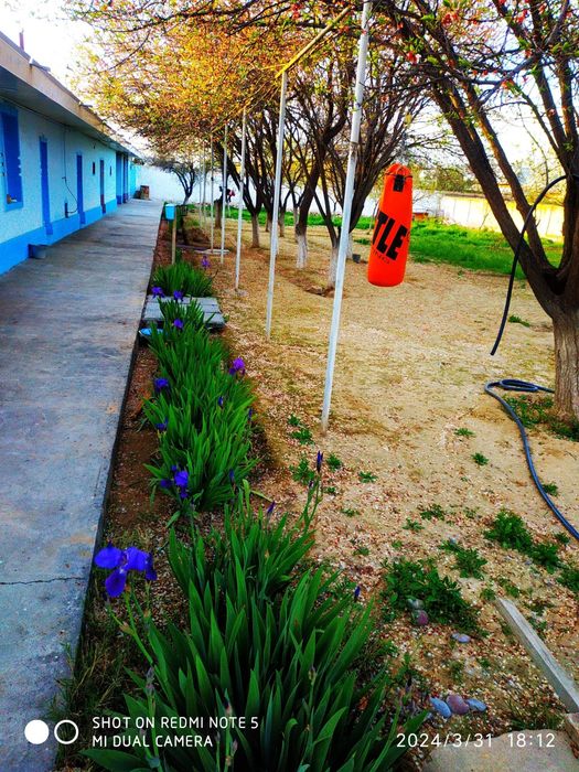 Qarshi shahrida 4 sutix Yer maydoni sotiladi