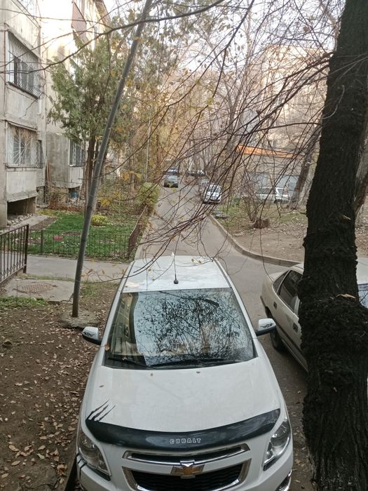 Аренда Шевроле кобальт