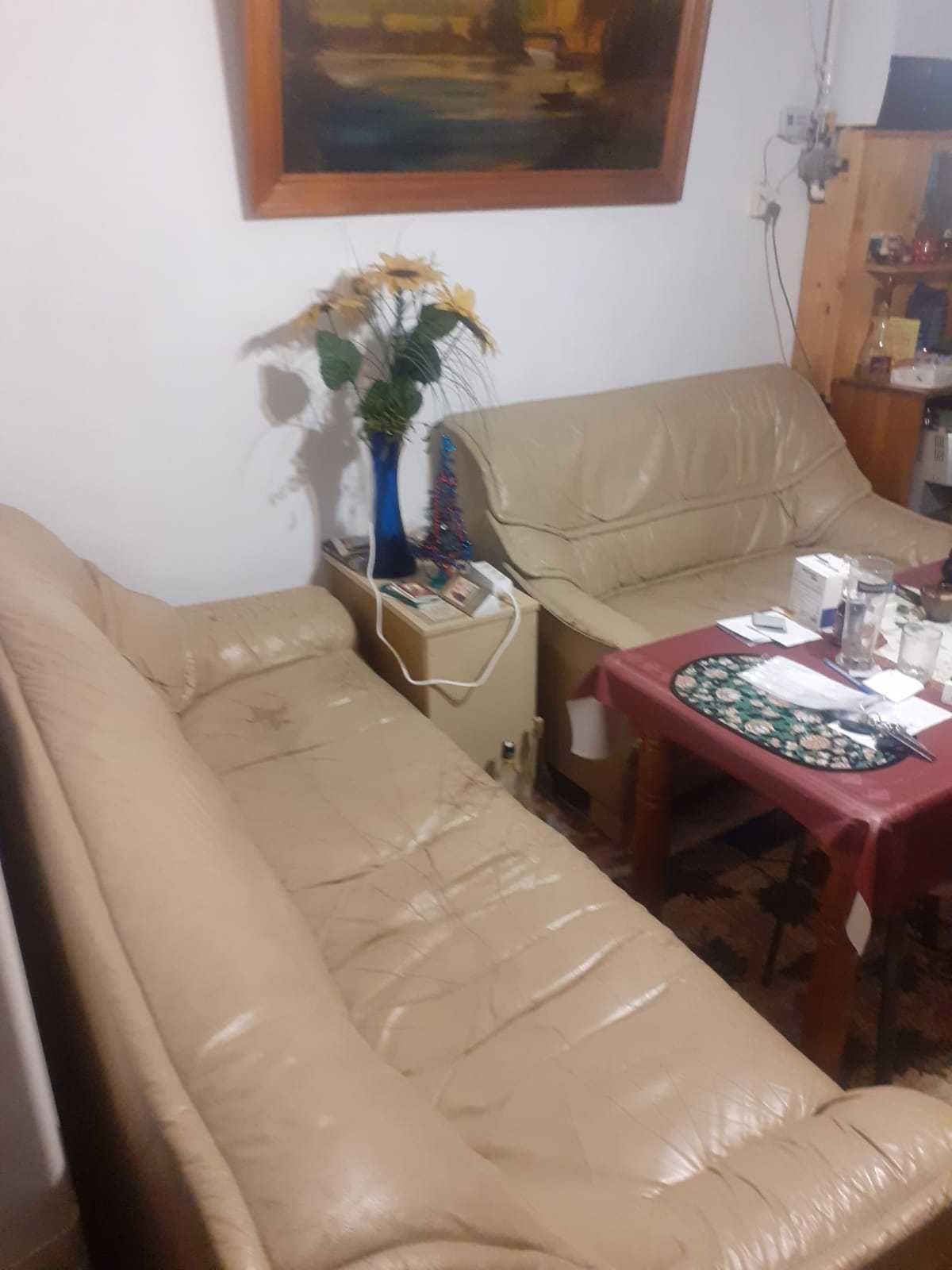 Canapele neextensibile din piele