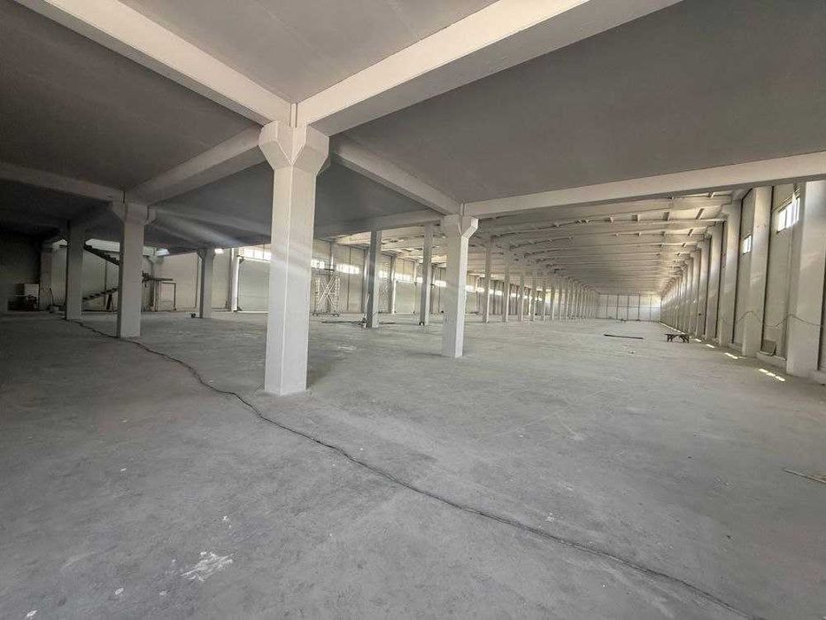 Аренда евро-помещений 5500 м²