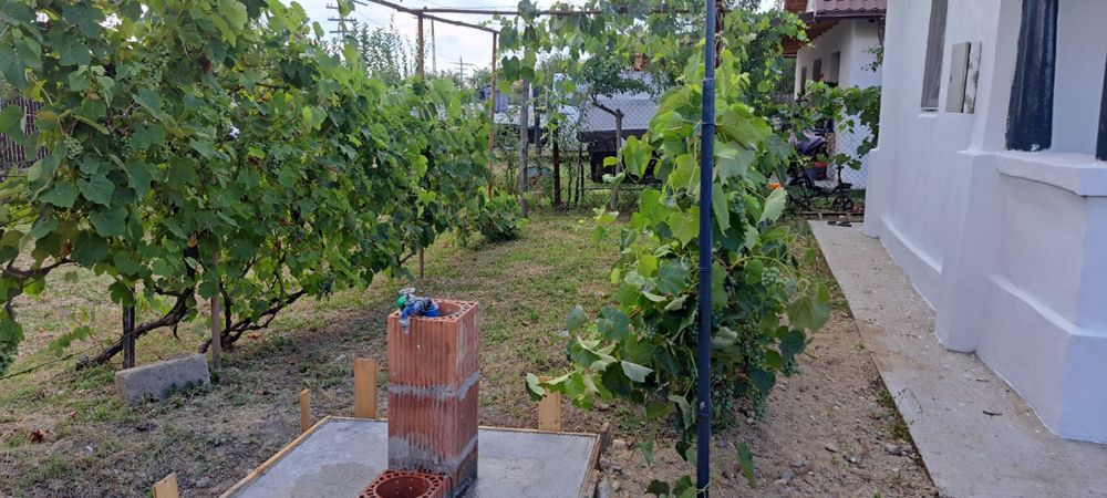 Casa de vanzare comuna Spineni, judet Olt, proximitatea Scornicesti