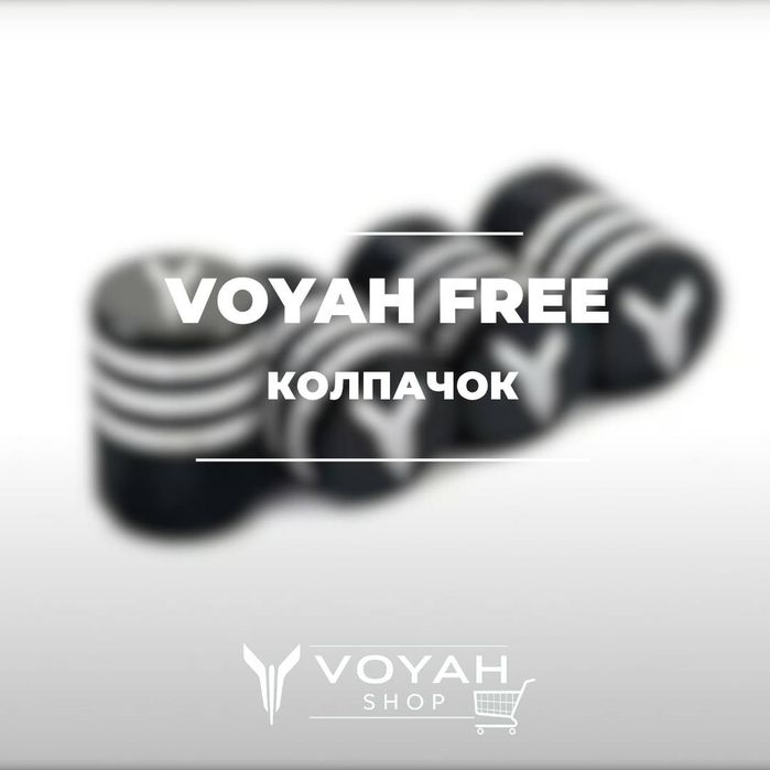 Колпачки для автомобильных ниппелей Voyah от «VoyahShop»