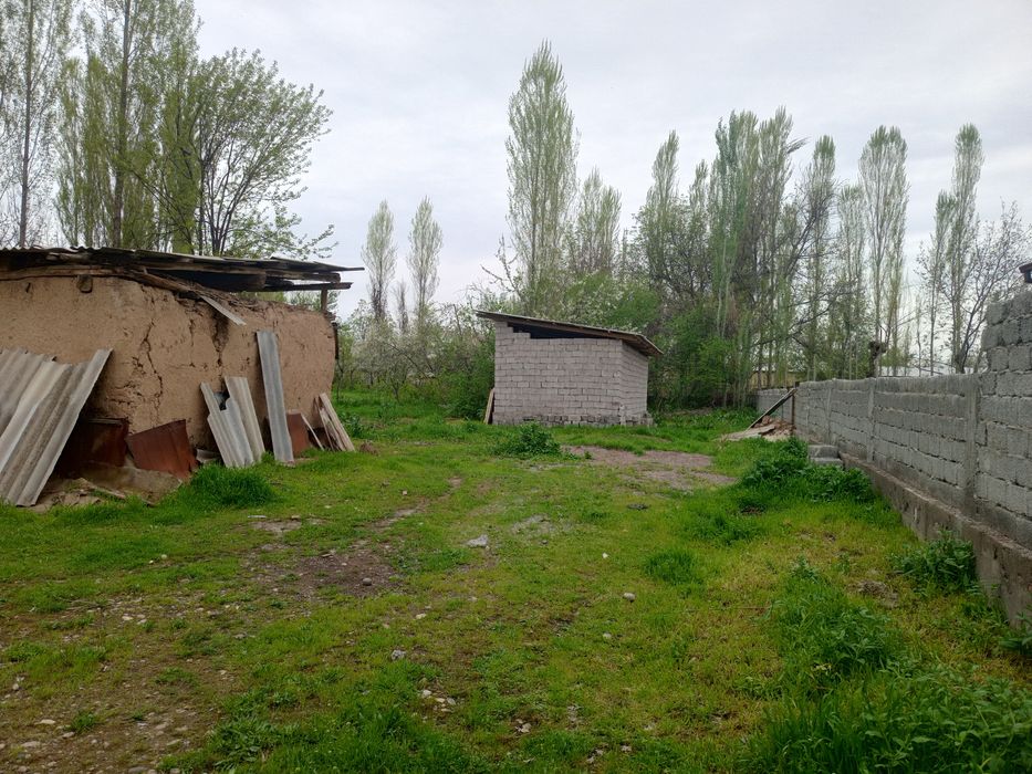 Yer xovli sotiladi 24 sotix aray hoji kolga kerurishda kavardanda