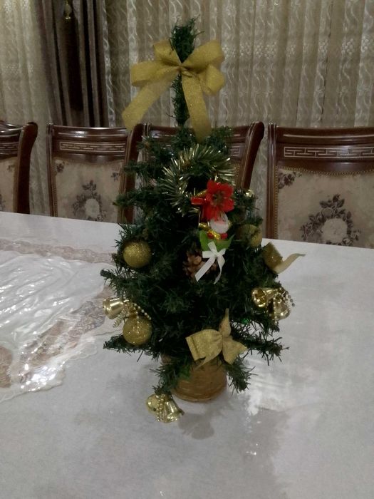 Чиройли ва тайер холда арча сотилади