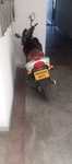 Vand scuter jonway whipp 49cc