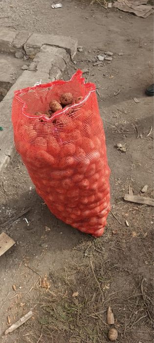 Картошка мешок 2500