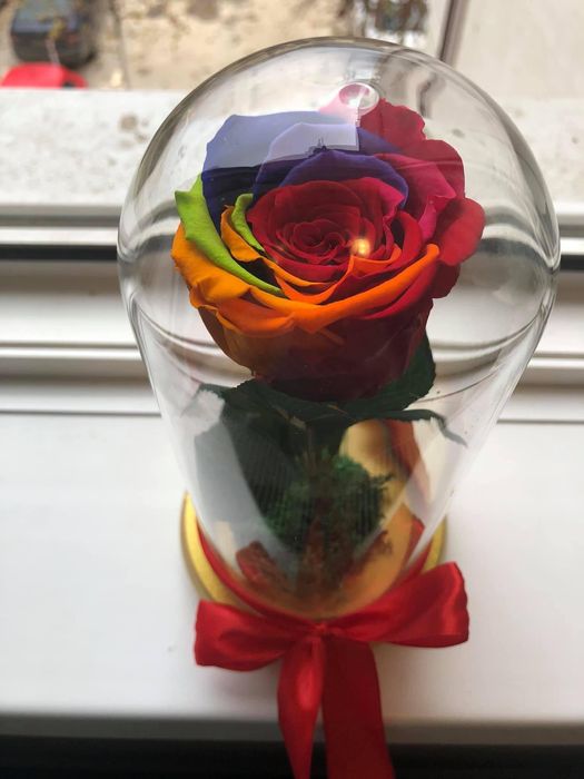 Cadou criogenat in cupola de sticla