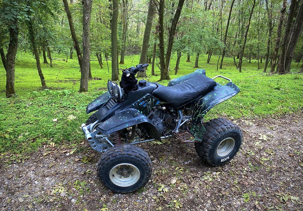 Yamaha Warrior 350cc