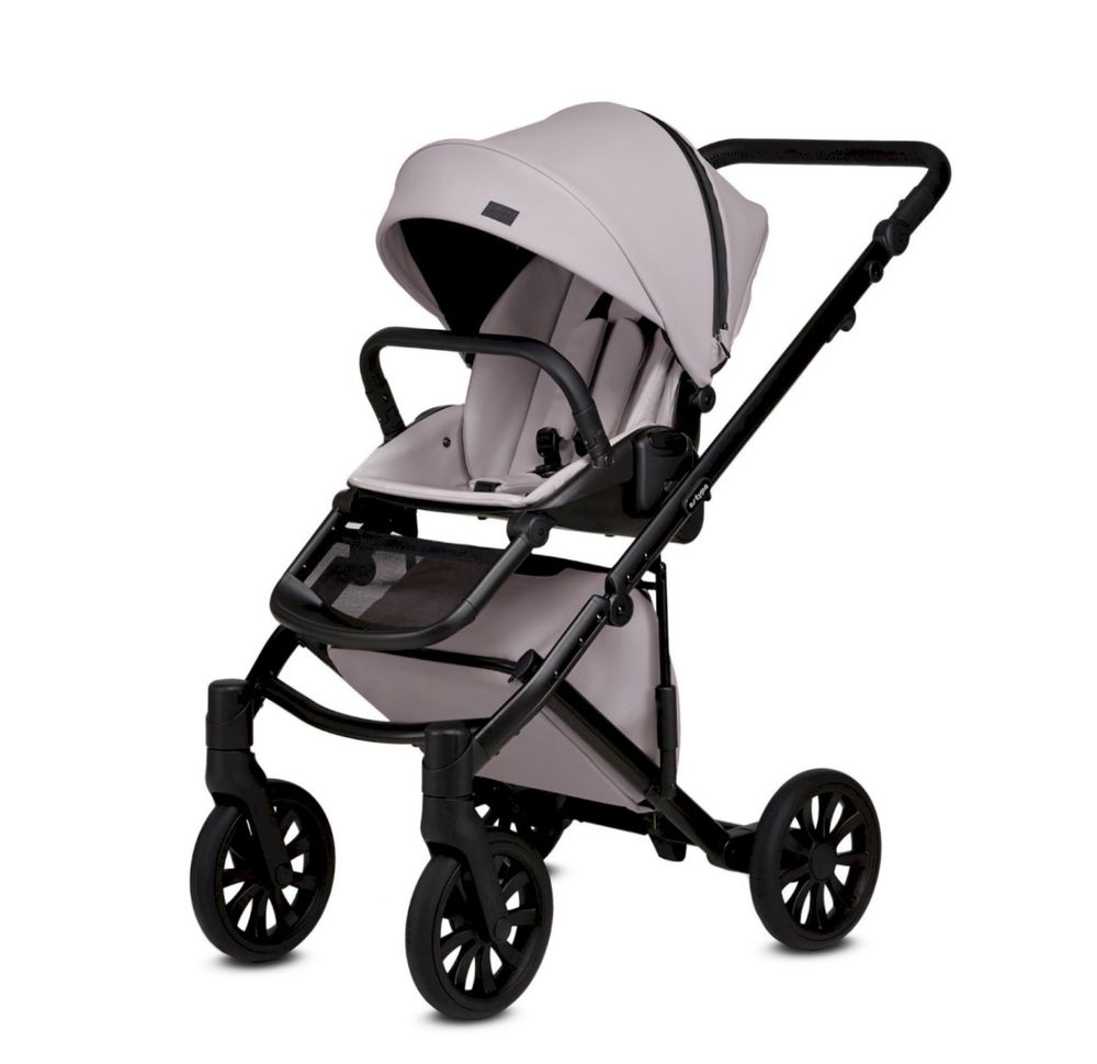 Carut Anex E-type+ Scoaica Cybex