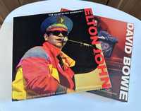 Biografie ilustrata Elton John si David Bowie